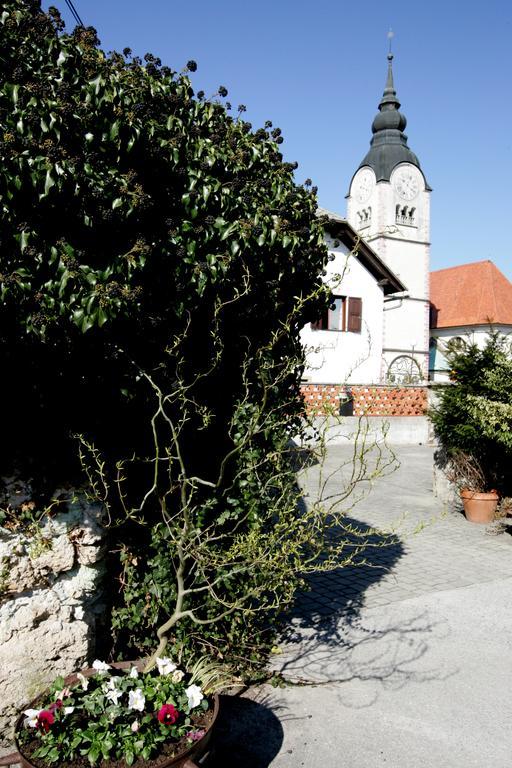 Baroque Villa Near Bled - Resort Vidmar Lesce  Zewnętrze zdjęcie